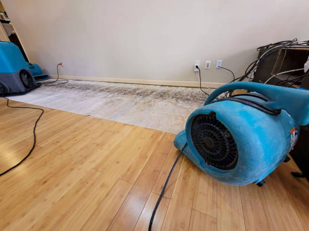 Professional Structural Drying technician working in Winn, MI